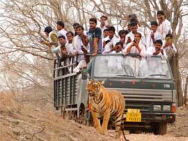 canter safari tadoba