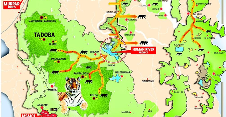 how to cancel tadoba safari booking